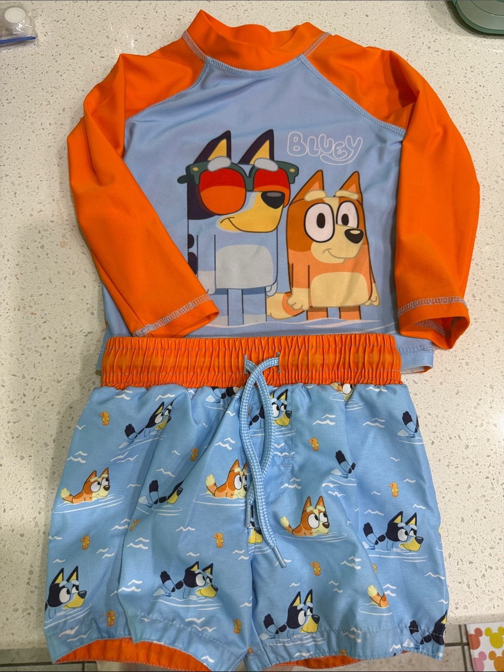Toddler 2t Bluey swim set